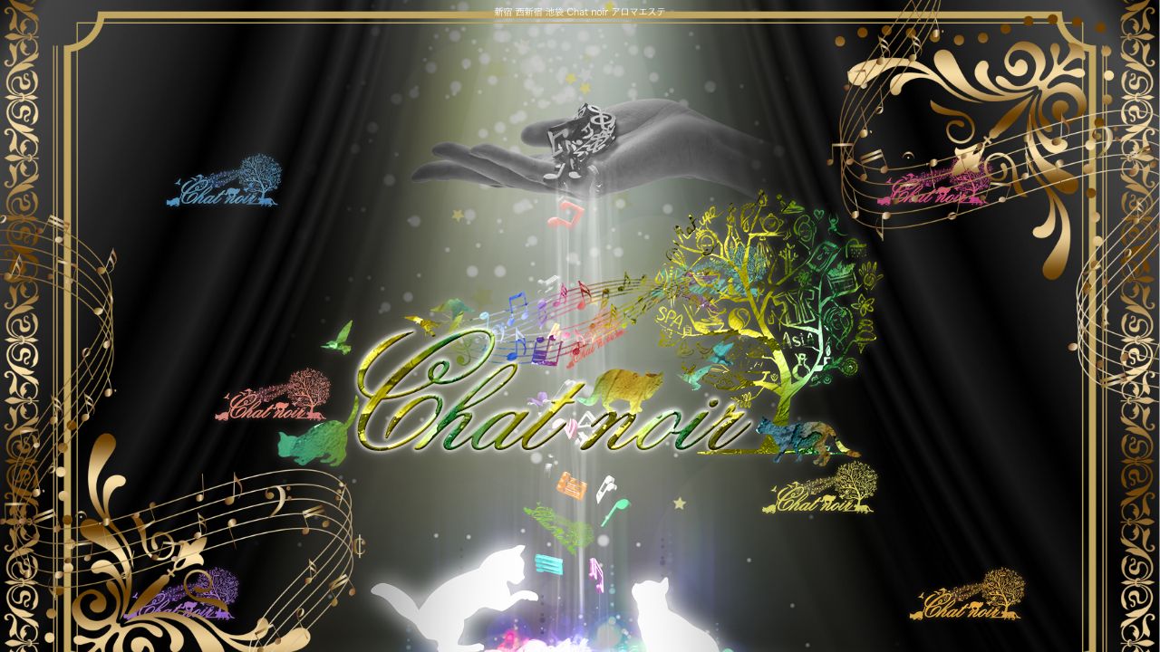 Chat noir シャノワール